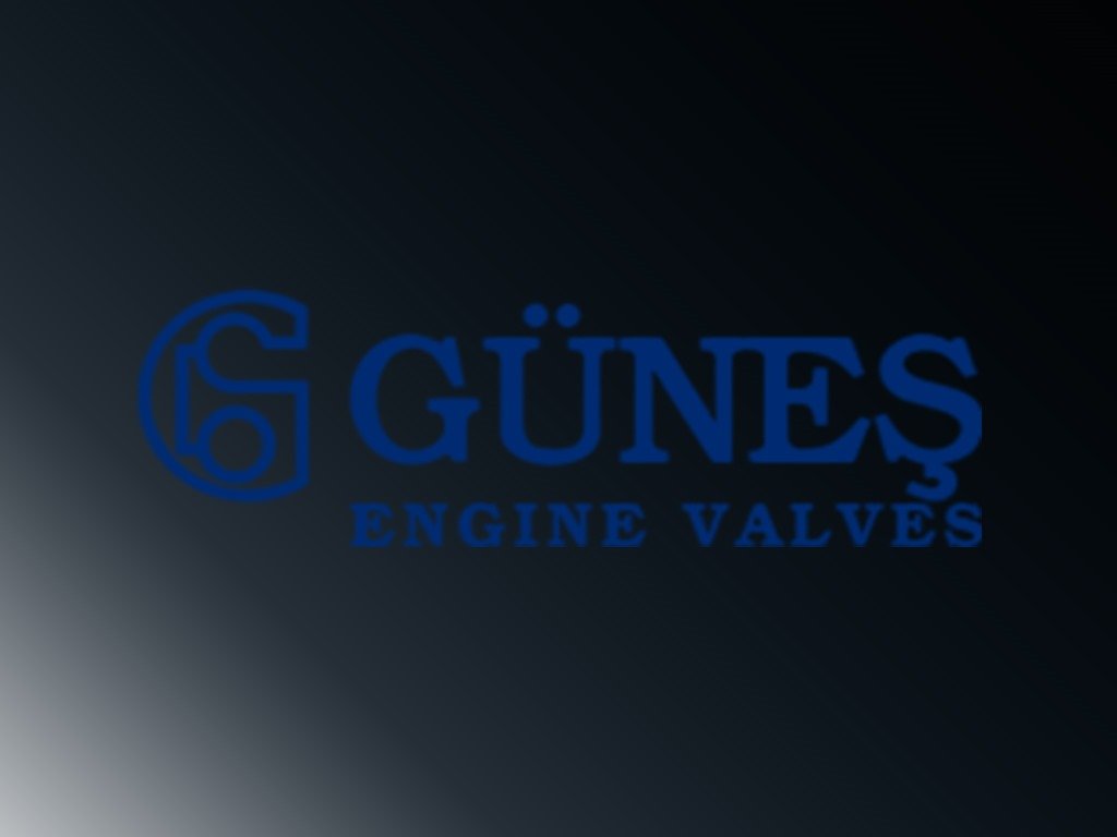Güneş Engine Valves